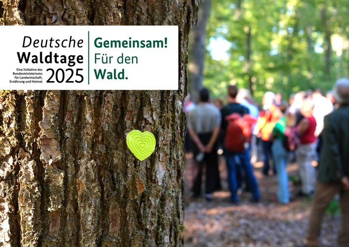Bundesweite Veranstaltungen zu den Deutschen Waldtagen 2025 / Unter dem Motto "Gemeinsam! Für den Wald." finden vom 19. bis 21. September in ganz Deutschland zahlreiche Aktionen statt