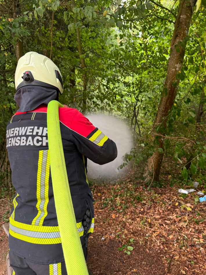 FW Allensbach: B1 Grillstelle rauchend