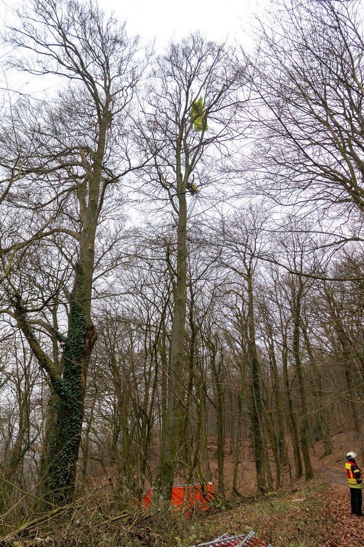 FW Porta Westfalica: 17.12.2025 - Barkhausen: Absturz Paragleiter / Person aus ca. 20m Höhe gerettet