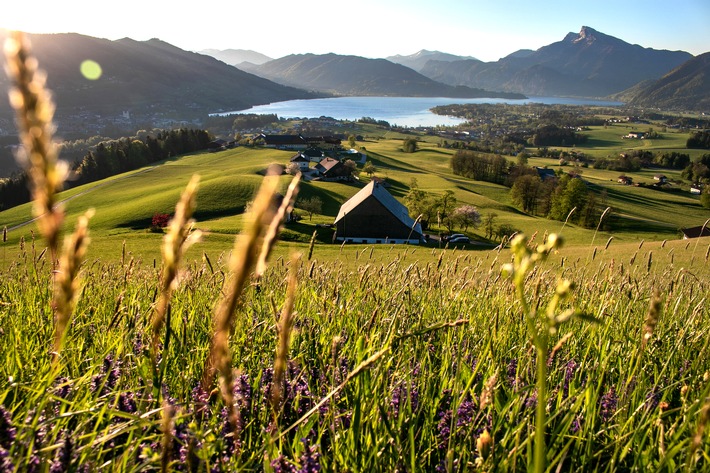 Frühling am Mondsee und Irrsee - Saisonstart mit neuen Impulsen für Tourismus und Gastronomie