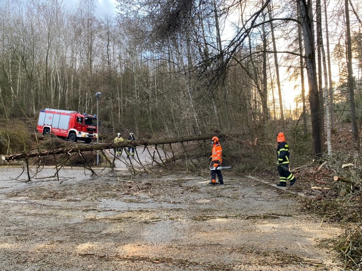 FW-MK: Umgestürzte Bäume durch Windböen