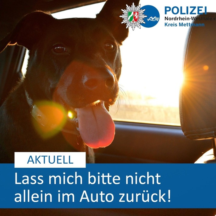 POL-ME: Hund in überhitztem Auto zurückgelassen: Polizei leitet Verfahren ein - Velbert - 2406095