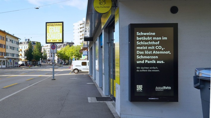 Neue Schock-Plakate prangern Zustände in der Schweizer Tierhaltung an