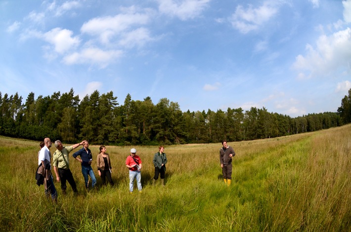 Gemeinsames Projekt der DBU Naturerbe GmbH und Krombacher zur Renaturierung des "Möllersches Luch" in der Rüthnicker Heide abgeschlossen (BILD)