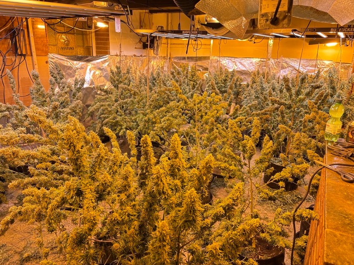 POL-SO: Cannabisplantage in ehemaliger Gaststätte