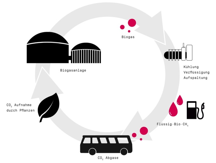 Kommunaler Nahverkehr auf dem Weg zur CO2-Neutralität / Mit dem nachhaltigen Kreislaufkonzept des Start-Ups CM Fluids lassen sich Nutzfahrzeuge zu klimaneutralen Verkehrsmitteln umrüsten