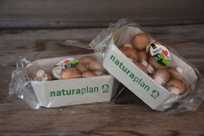 Der Umwelt zuliebe - Neue Verpackung bei Schweizer Bio-Champignons