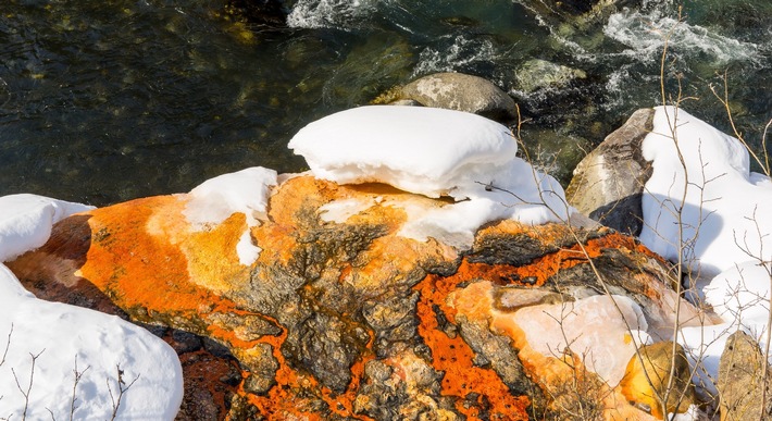 Für Wissensdurstige: "Aua Forta - Wassertage Engadin Scuol"
