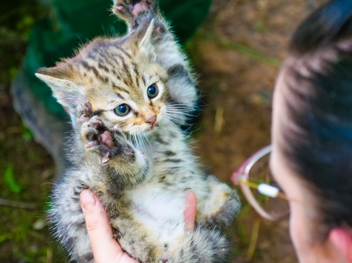 Kuschelige und gefiederte Tierkinder in Tripsdrill