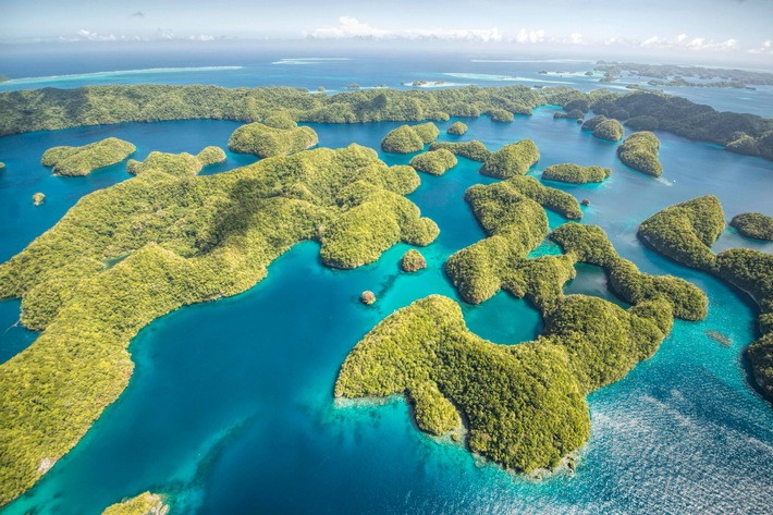 "Fischraub in der Südsee": ZDF-Ostasien-Korrespondent Thomas Reichart berichtet für "planet e." über illegale Haijagd (FOTO)