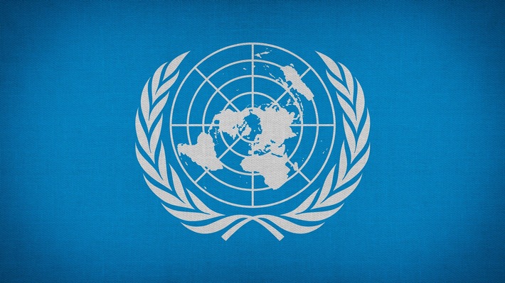 United Nations 2020.jpg