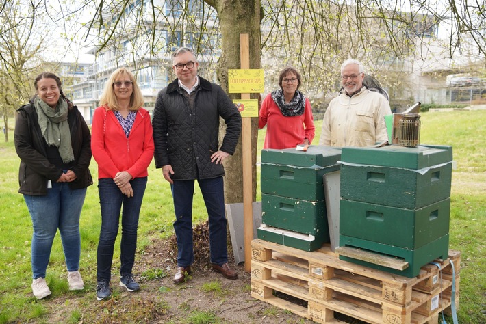 Bei der Lippischen ziehen zwei Bienenvölker ein