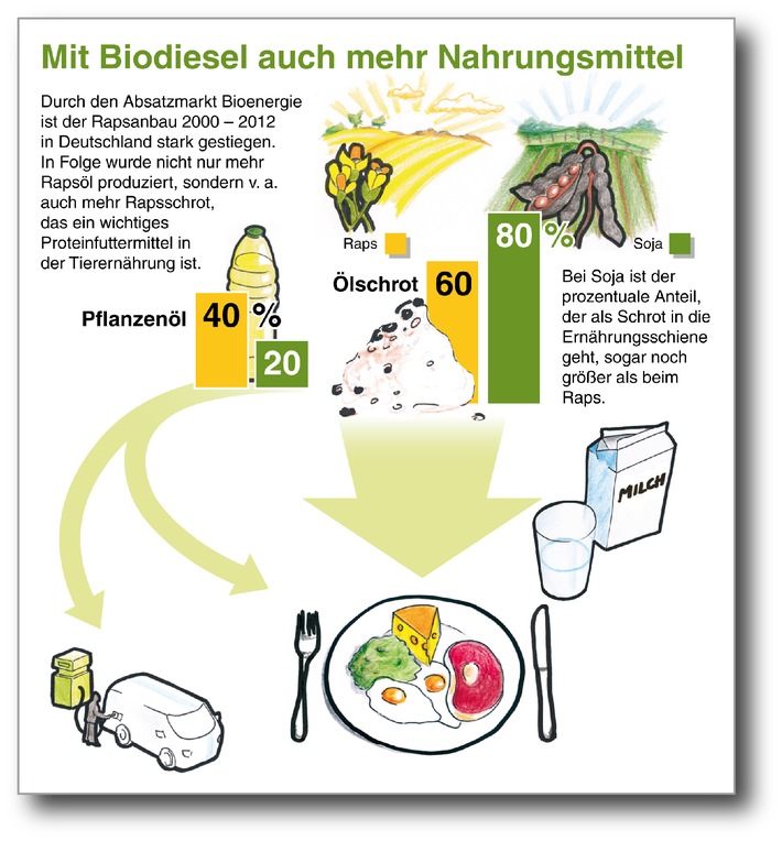 Mit Biodiesel auch mehr Nahrungsmittel / Infografik (BILD)