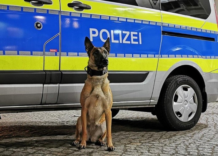 POL-HH: 230315-2. Polizei ermittelt Tatverdächtige zu zwei Überfällen in Hamburg-Bergedorf und -Rahlstedt