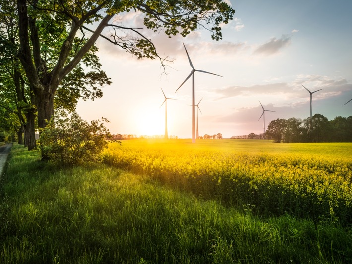 Halbjahresergebnis 2016 / BKW steigert Umsatz und Gewinn