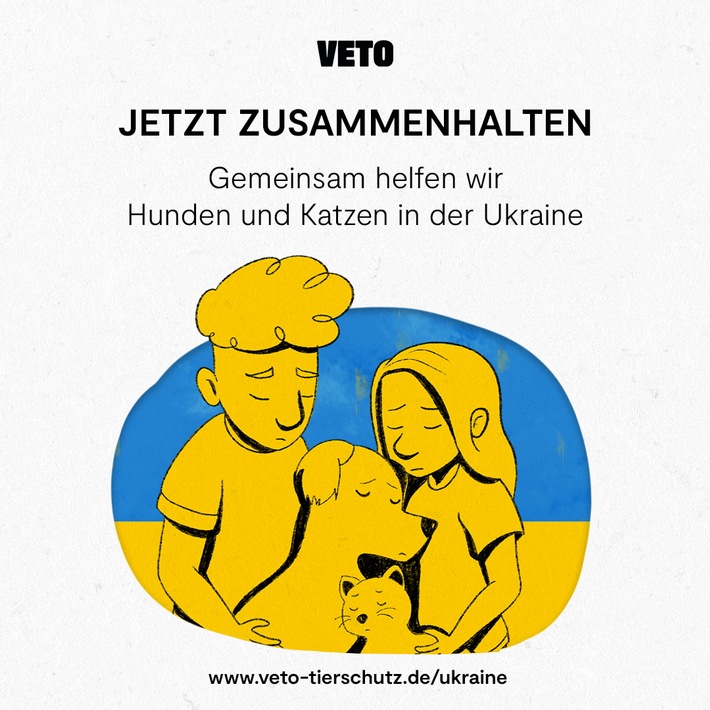 VETO – Tierschutz: Tierrettung in Kriegszeiten