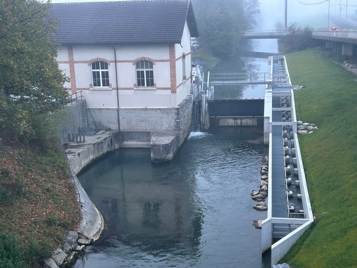 Medienmitteilung: SAK verbessert Fischwanderung beim Wasserkraftwerk Blatten am Rheintaler Binnenkanal