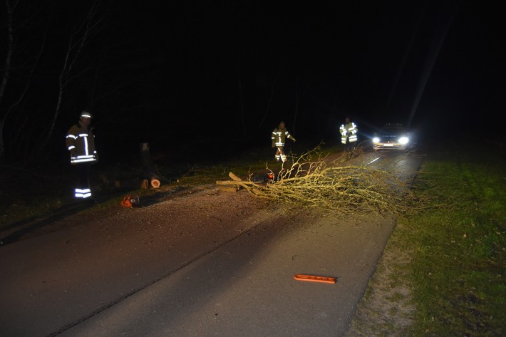 POL-NI: Zwei Bäume mutwillig gekappt. Straße zwischen Bolsehle und Schneeren blockiert.