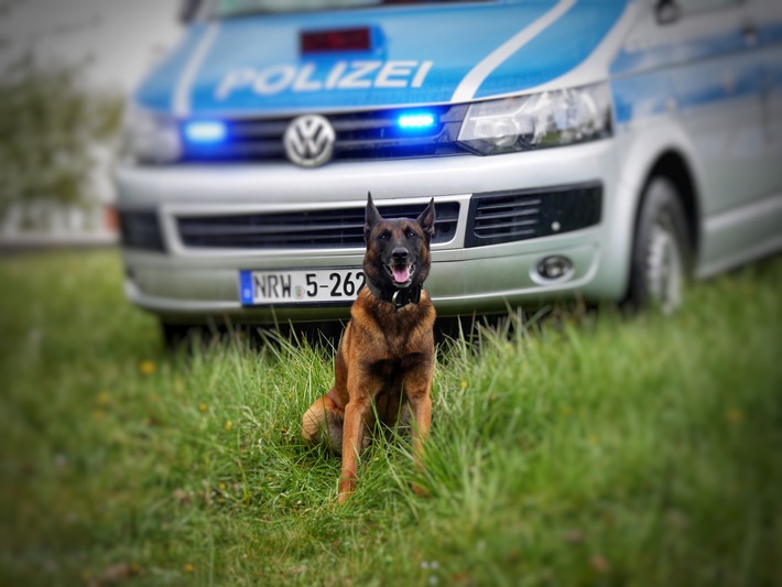 POL-HA: Diensthund Horst stellt Metalldiebe auf Firmengelände
