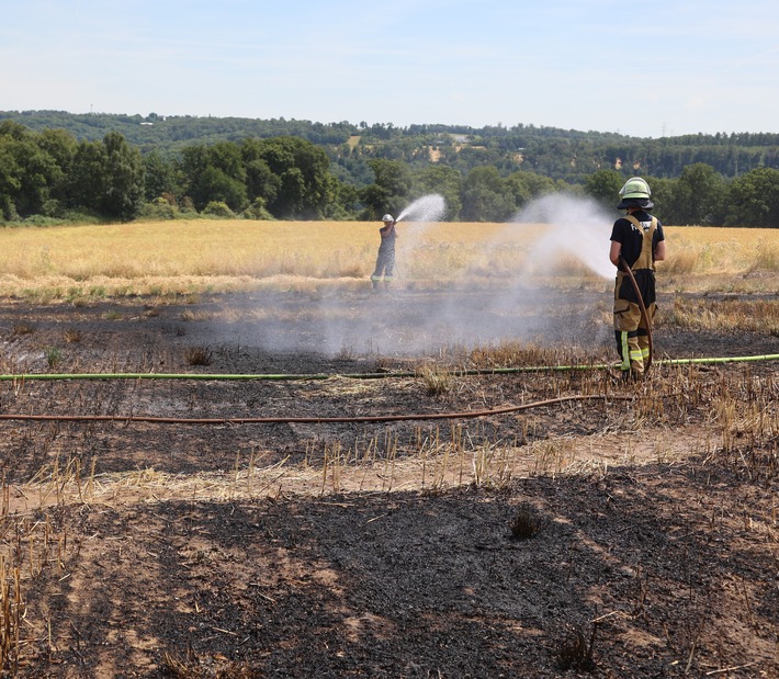 FW-E: Feuerwehr löscht mehrere Flächenbrände - rund 1000 Quadratmeter Fläche brennen im Westviertel