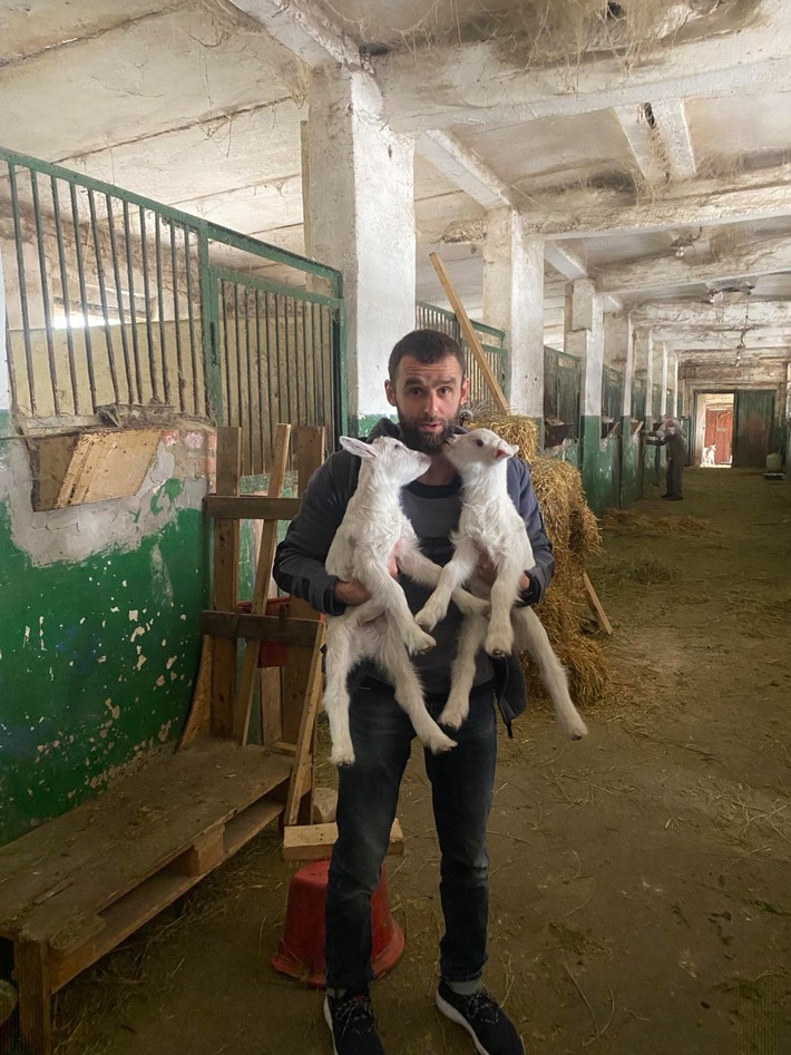 1.000 Tage Krieg: wie PETA und Animal Rescue Kharkiv den oft vergessenen Opfern in der Ukraine helfen