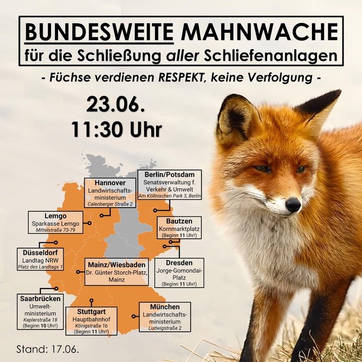 Umgang mit Füchsen oft nicht tierschutzgerecht - bundesweite Mahnwachen