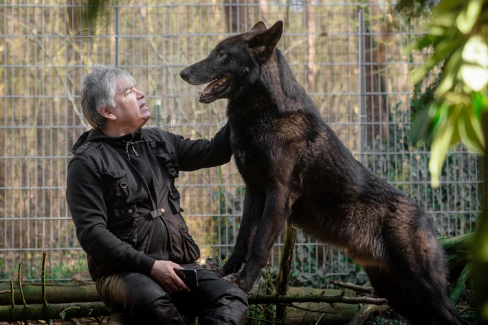 "Der mit dem Wolf lebt": "37°" im ZDF über einen Aussteiger und Wolfsschützer / Vom Familienvater zum Rudel-Chef