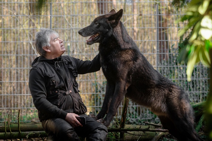 &quot;Der mit dem Wolf lebt&quot;: &quot;37°&quot; im ZDF über einen Aussteiger und Wolfsschützer / Vom Familienvater zum Rudel-Chef