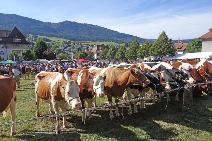 Communiqué de presse: Expositions d’animaux - nécessité d’amélioration importante selon la Protection Suisse des Animaux PSA