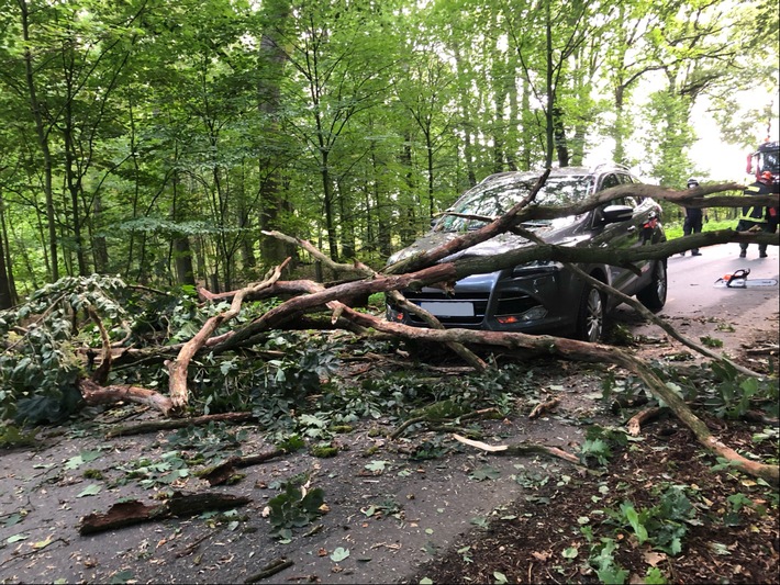 POL-ST: Saerbeck, 47-jährige Autofahrerin konnte schwere Kollision mit stürzendem Baum gerade noch verhindern