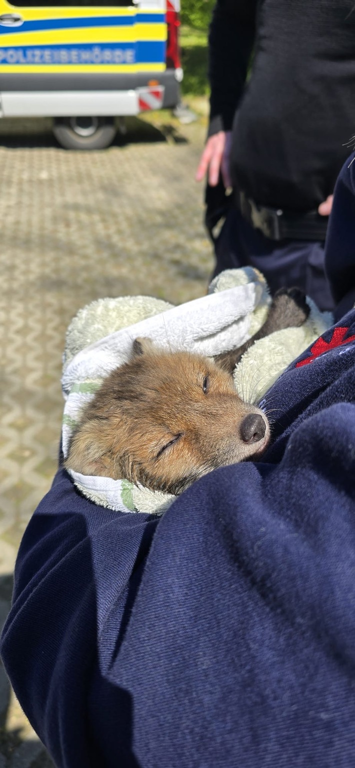 FW Stuttgart: Fuchs-Rettung in Stuttgart-Hohenheim