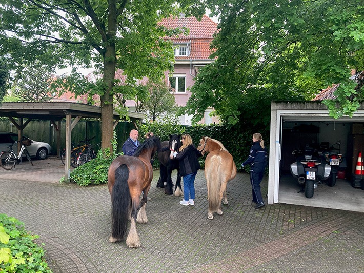 POL-ST: Pferde im Hof der Polizeiwache Emsdetten