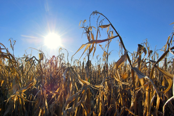 In Zeiten des Klimawandels wirtschaftlich bleiben - Dritte e2m-Wintertagung für Biogas-Anlagenbetreiber am 21. Januar 2020 in Walsrode