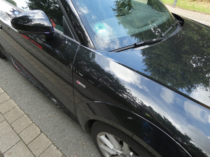 POL-DEL: Landkreis Oldenburg: Junge Radfahrerin bei Unfall in Wildeshausen leicht verletzt +++ Getragener Fahrradhelm verhindert Schlimmeres
