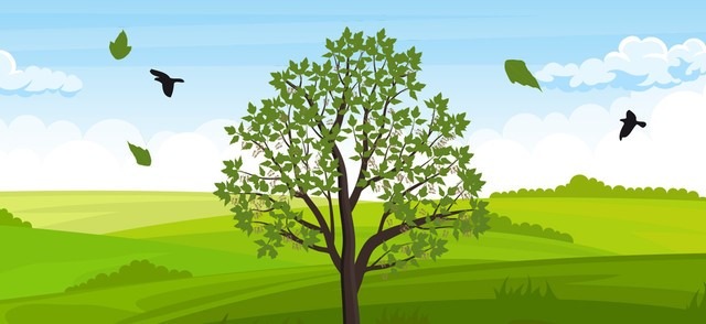 Der aHUS Wunschbaum - eine Aktion zum aHUS Awareness Day 2022