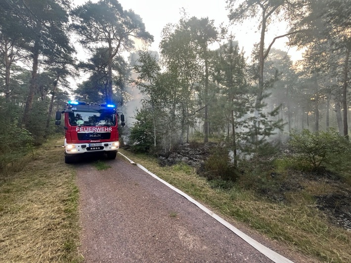 POL-PDNW: Polizeiinspektion Haßloch - Brandentwicklung in einem südlichen Waldstück von Haßloch