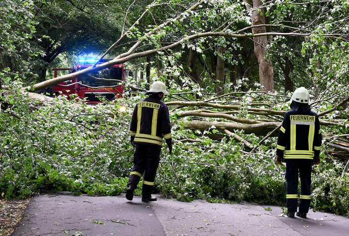 FW-RD: Orkantief "Poly" sorgt für zahlreiche Einsätze - Sonderlage aufgehoben