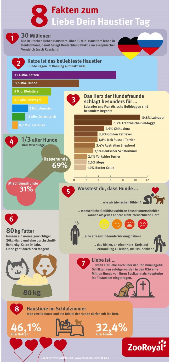 Pünktlich zum Liebe-Dein-Haustier-Tag am 20. Februar stellt ZooRoyal acht spannende Fakten rund um Haustiere vor