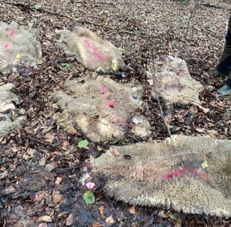 POL-OF: Unfallflucht: Schwerverletzte Radfahrerin - Wer sah den Zusammenstoß?; Schafsfelle im Wald entsorgt - Kripo ermittelt; Feuer an Wohn- und Geschäftsgebäude und mehr