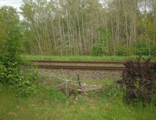 BPOL-FL: Kremperheide- Lebensgefährlich! - Anwohner nehmen "Trampelpfad" über Bahngleise