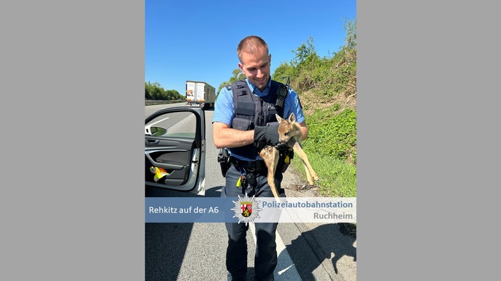 POL-PDNW: Polizeiautobahnstation Ruchheim - Rehkitz von A6 gerettet