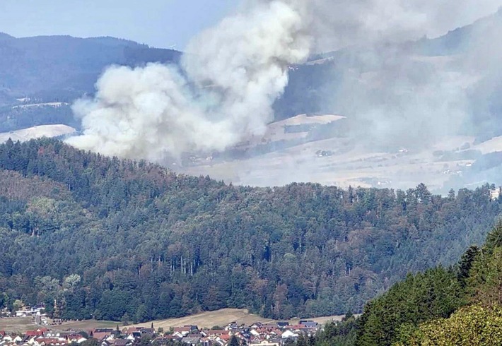 Landschaftsbrände: Neues Positionspapier empfiehlt Integriertes Feuermanagement und eine nationale Konferenz