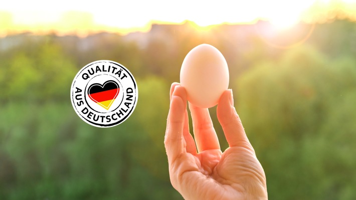 Bekenntnis zur deutschen Landwirtschaft: Kaufland setzt auch bei Eiern auf deutsche Herkunft