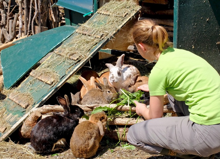 Neues vom Häslihof Abtwil