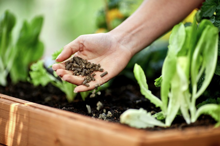 Frühjahrsdüngung: So sorgen Gartenfans für blühendes Leben