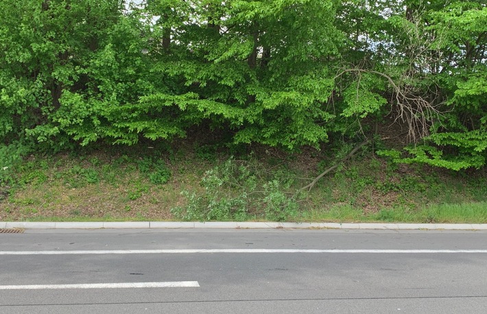 FW-Schermbeck: "Sturmschaden" lautete das Einsatzstichwort am Dienstagnachmittag