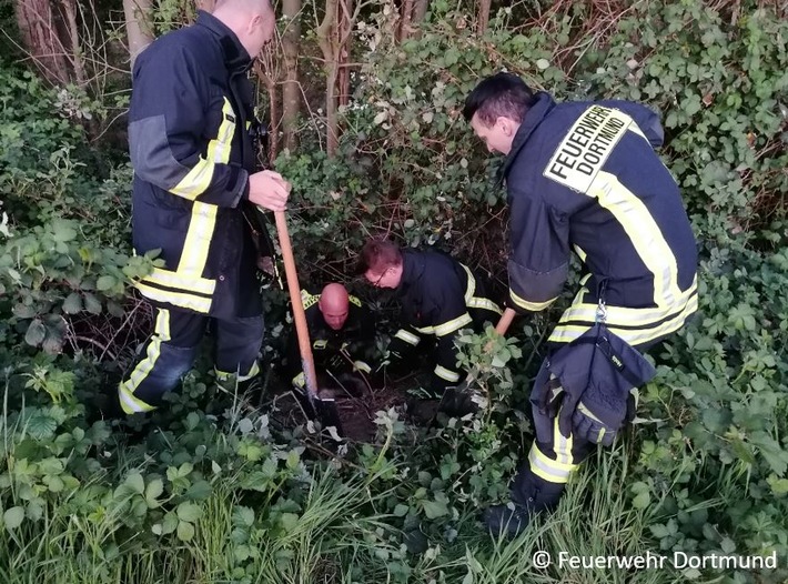 FW-DO: Ein Hund wurde aus einem Dachsbau gerettet