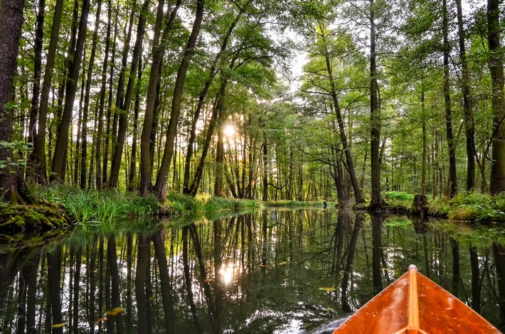 Vulkaneifel statt Island, Spreewald statt Amazonas: Airbnb zeigt die schönsten Alternativen in Deutschland zu internationalen Touristenattraktionen in der Natur