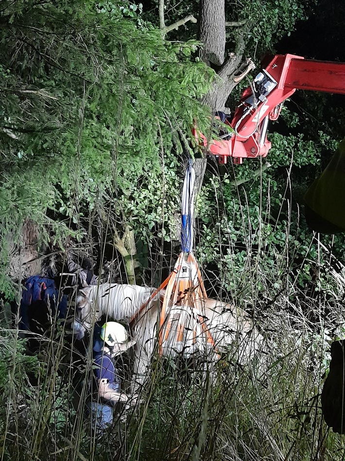 FW Lage: Pferd aus Bachlauf gerettet - aufwändiger Tierrettungseinsatz in Oetternbach