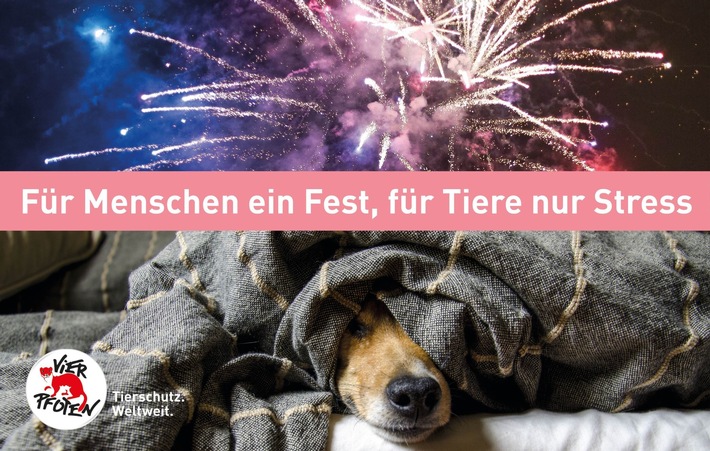 Silvesterfeuerwerk setzt Tiere massiv unter Stress